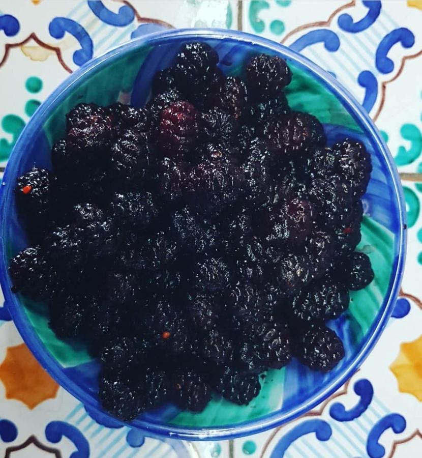 Il Cortile Del Marchese Beccadelli Bed and Breakfast Sambuca di Sicilia Buitenkant foto